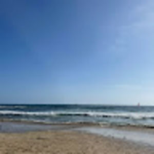 Meet your Posher, Sina